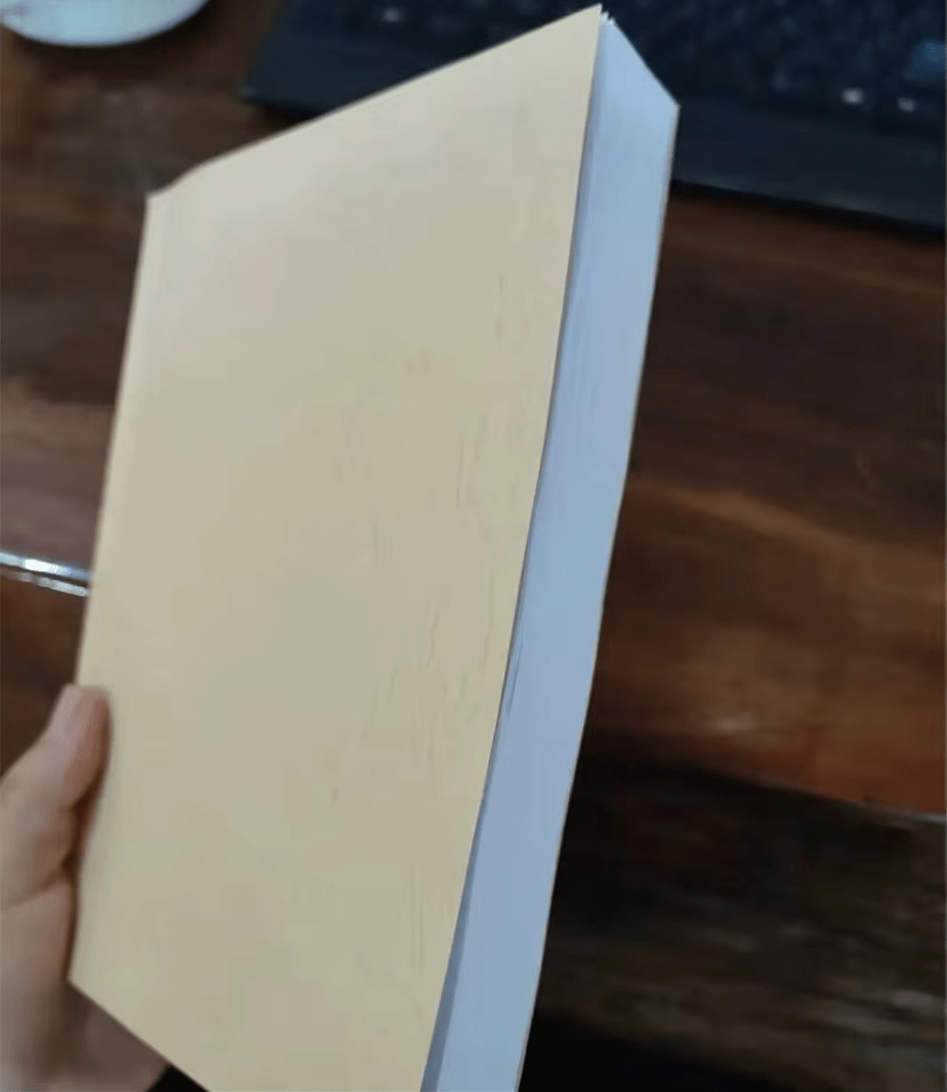 Arthur Morgan's Handcrafted Journal / Red Dead Redemption 2